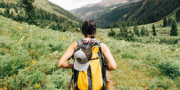 Service Image: (Case Study) Merger of two distinct businesses within a major insurance company